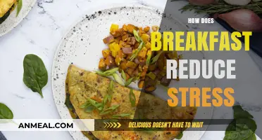 Start Your Day Calmly: How Breakfast Reduces Stress Effectively