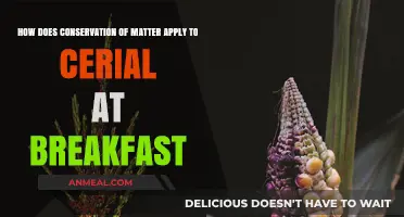 Matter Conservation: Your Breakfast Cereal Explained