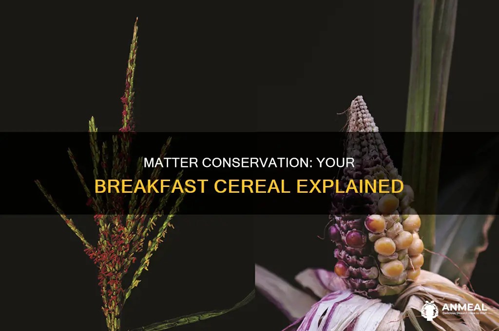 how does conservation of matter apply to cerial at breakfast