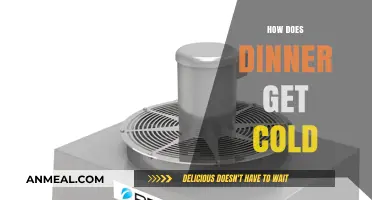 Why Your Dinner Cools Down: The Science Behind Cold Meals