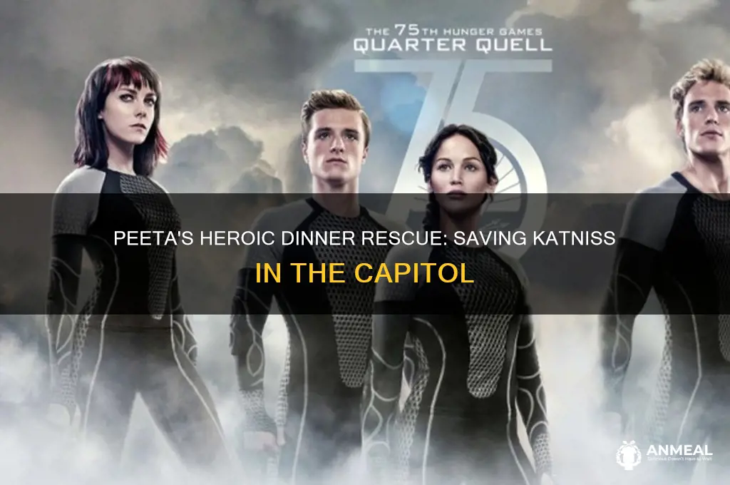 how does peeta save katniss at dinner