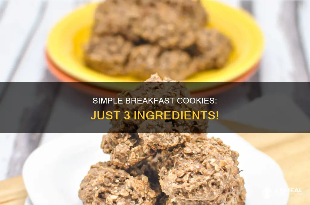 how does she 3 ingredient breakfast cookies