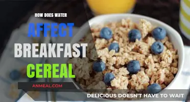 Breakfast Cereal: The Science of Soggy