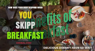 Skipping Breakfast: The Body's Response and Why It Matters