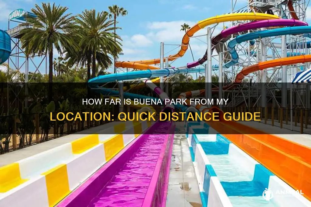 how far is buena park from me