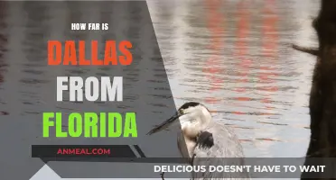 Dallas to Florida: Distance, Travel Time, and Best Routes Explained