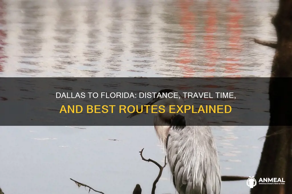 how far is dallas from florida