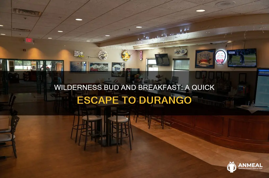 how far is wilderness bud and breakfast to durango colorado