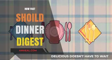 Optimal Dinner Digestion: How Fast Should Your Meal Process?