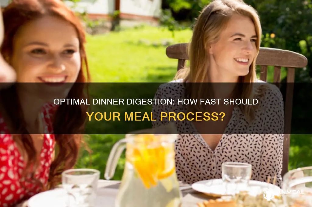 how fast shoild dinner digest