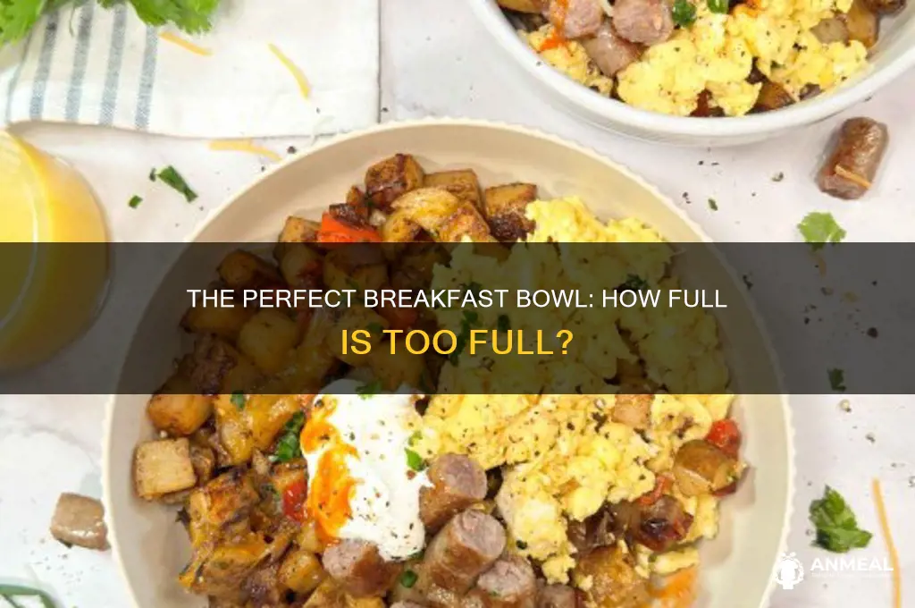 how full should a breakfast bowl be
