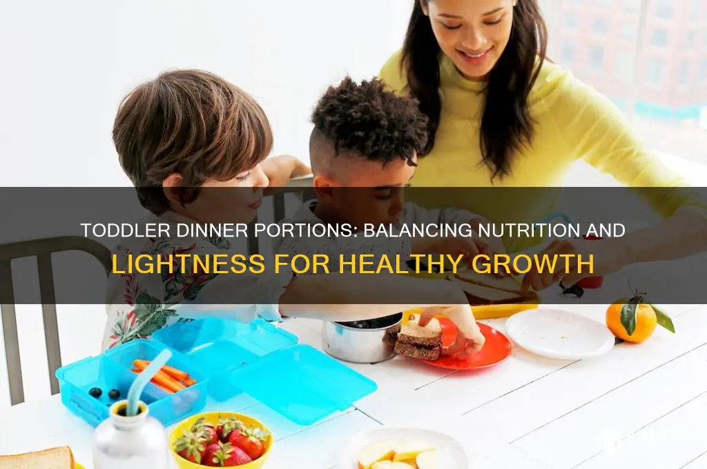 how heavy dinner for toddler