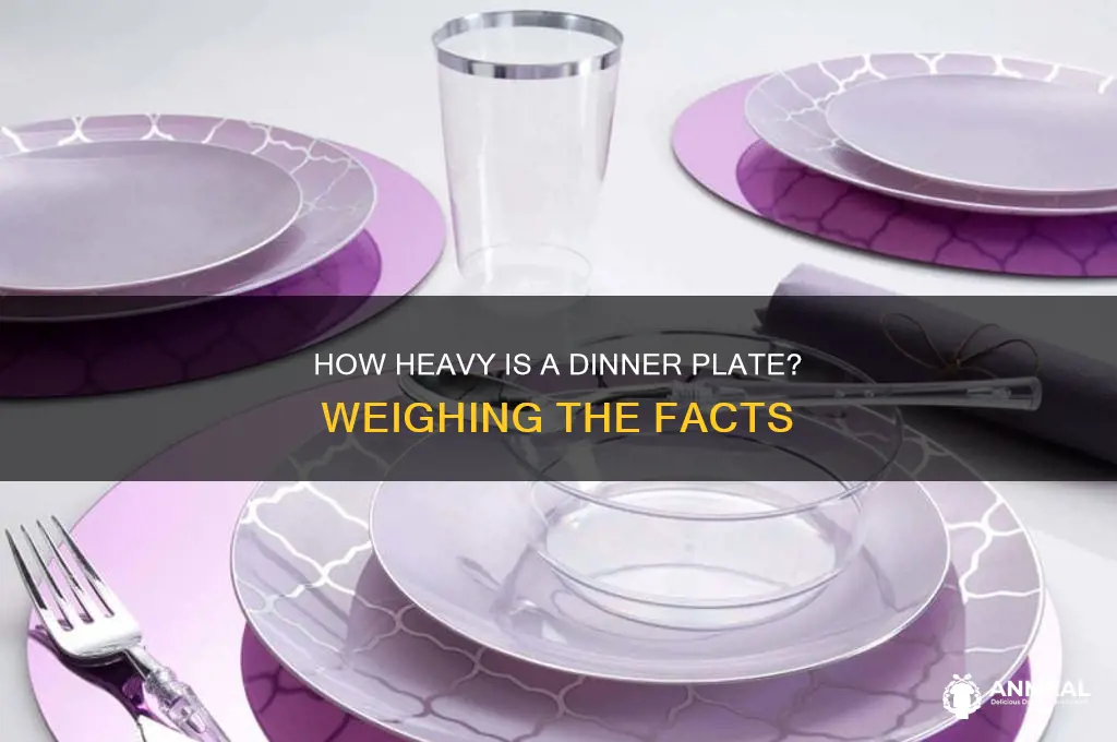 how heavy is a dinner plate