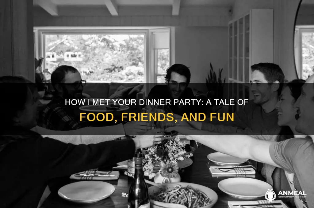 how i met your dinner party