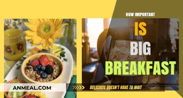 Big Breakfast Benefits: Fueling Your Day for Optimal Health and Energy