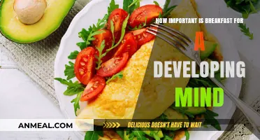 Breakfast: Fueling Young Minds for the Day Ahead