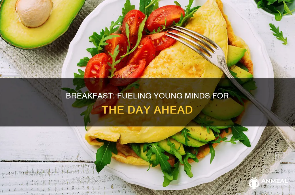 how important is breakfast for a developing mind