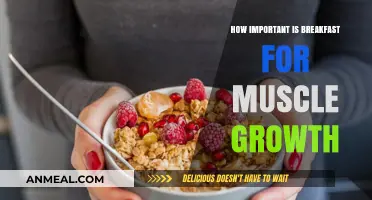 Breakfast's Role in Muscle Growth and Recovery