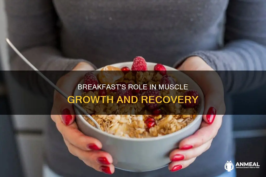 how important is breakfast for muscle growth