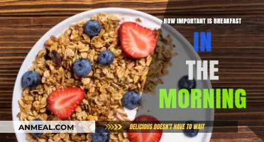 Morning Fuel: Breakfast's Impact on Energy and Health