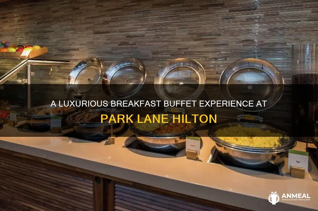 how is breakfast buffet at park lane hilton