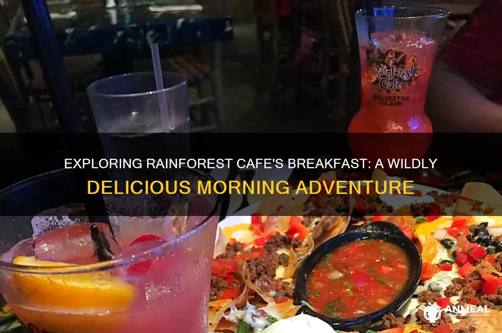 how is rainforest cafe breakfast