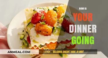 How’s Your Dinner Going? Tips for a Perfect Evening Meal