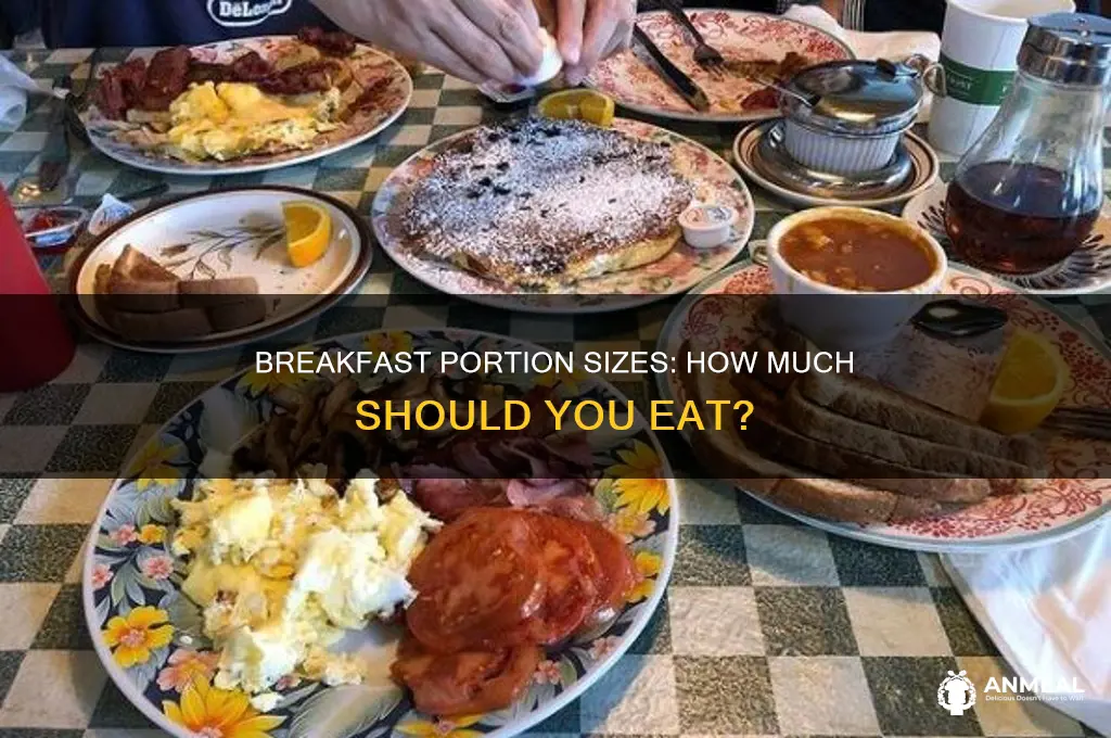 how large should my breakfast be