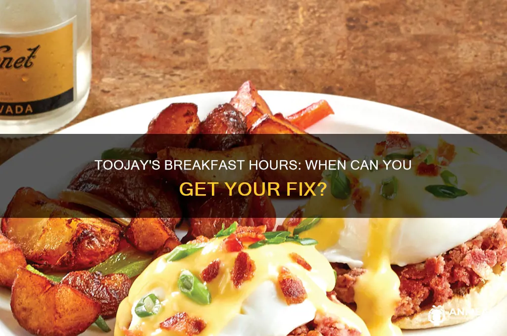 how late does toojays seve breakfast