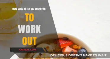 Best Time to Work Out After Breakfast