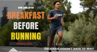 Running after Breakfast: How Long Should You Wait?