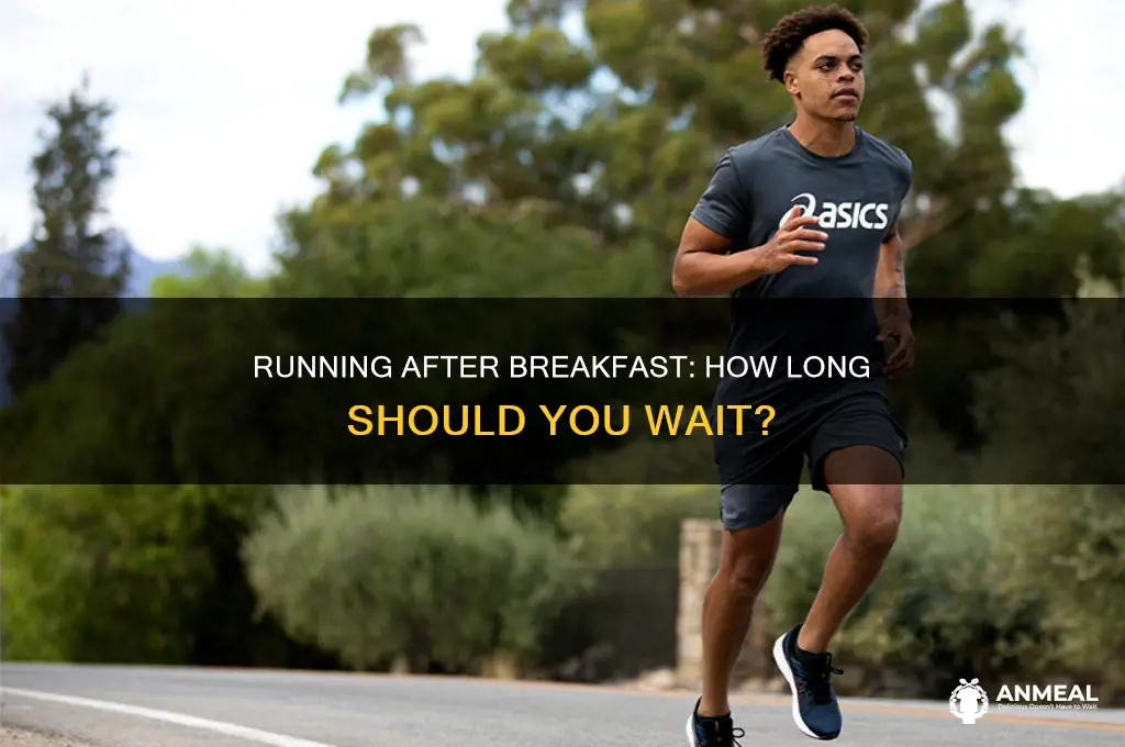 how long after breakfast before running