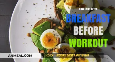Best Timing for Workouts: Before or After Breakfast?