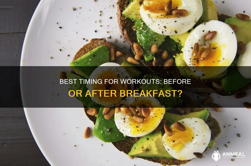 how long after breakfast before workout