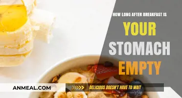 Understanding the Science Behind Breakfast Digestion