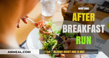 Running After Breakfast: Timing Tips for Optimal Performance and Energy