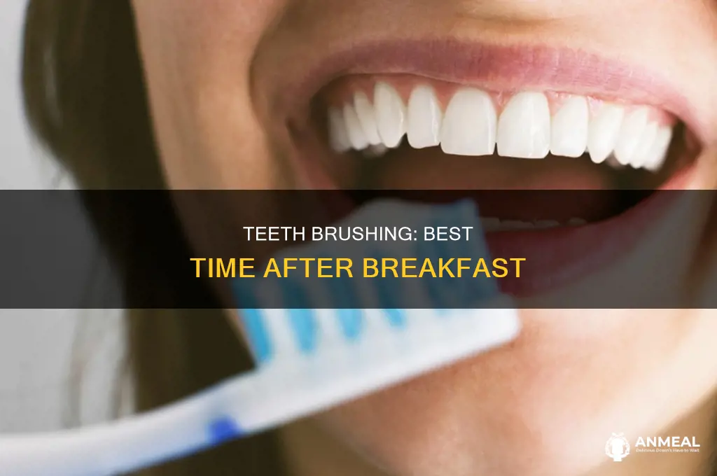 how long after breakfast should i brush my teeth