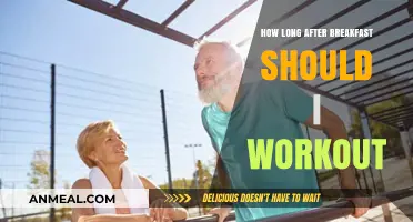 Morning Workouts: Best Time after Breakfast