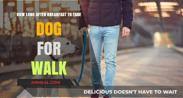 Morning Walks: Best Time After Breakfast