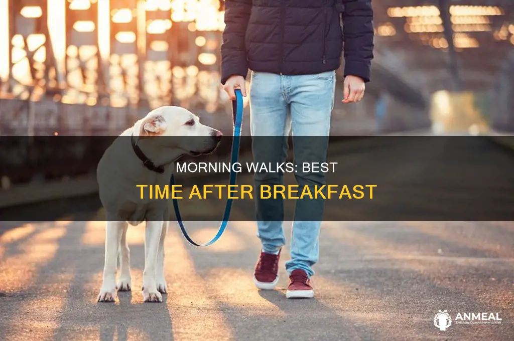 how long after breakfast to take dog for walk