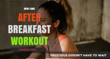 Optimal Timing: When to Workout After Breakfast for Best Results