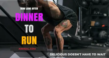 Optimal Post-Dinner Running: Timing Tips for Digestive Comfort and Performance