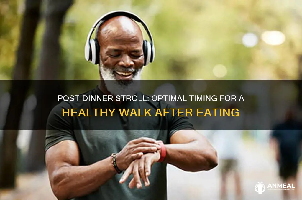 how long after dinner to walk