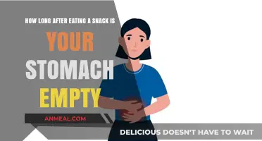 Snack Time to Empty Stomach: A Digestive Journey