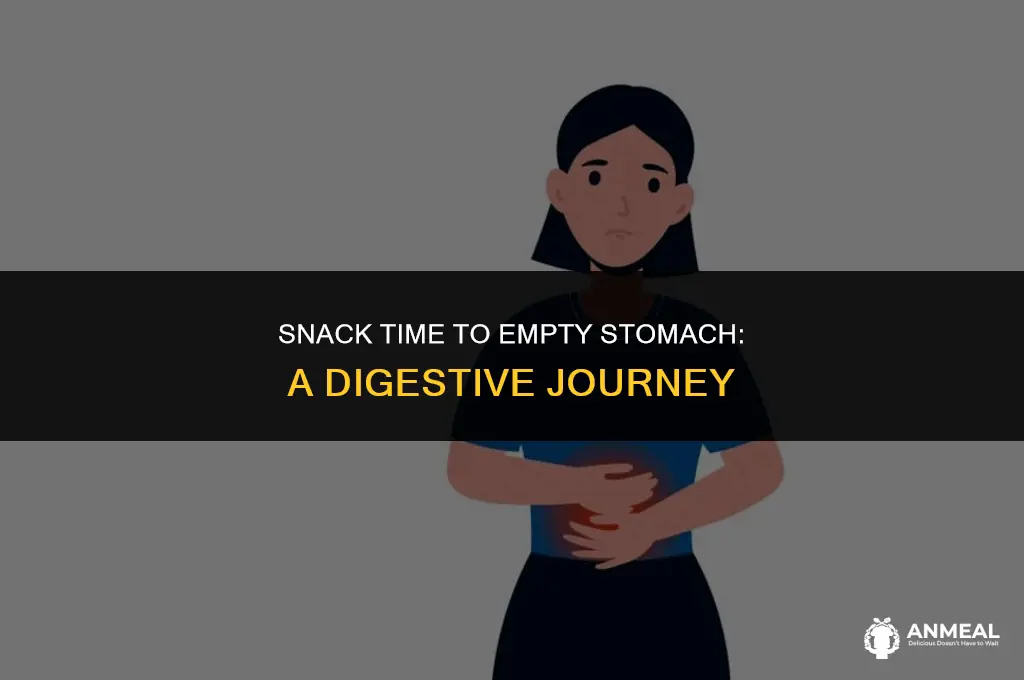 how long after eating a snack is your stomach empty