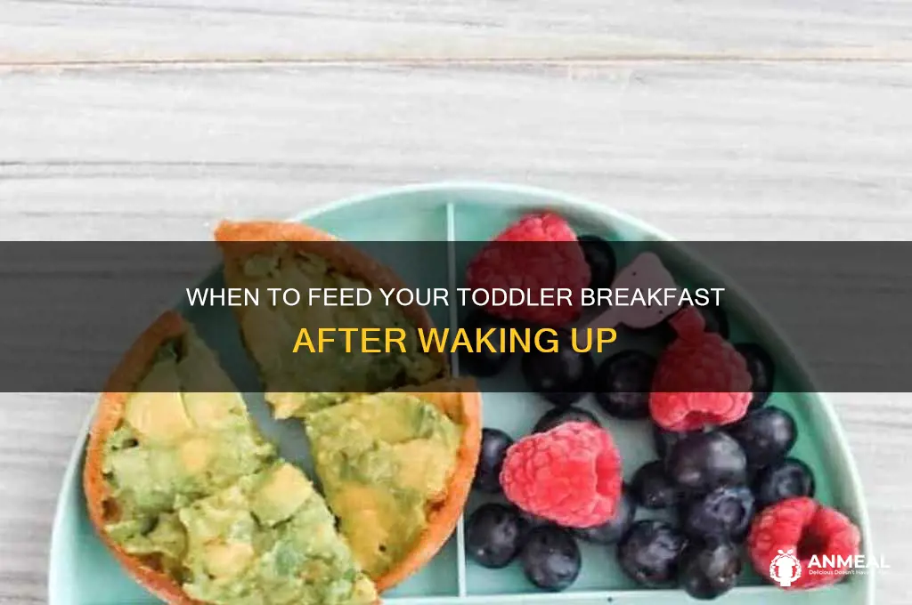how long after toddler wakes breakfast