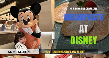 Character Breakfasts at Disney: How Long Do They Last?