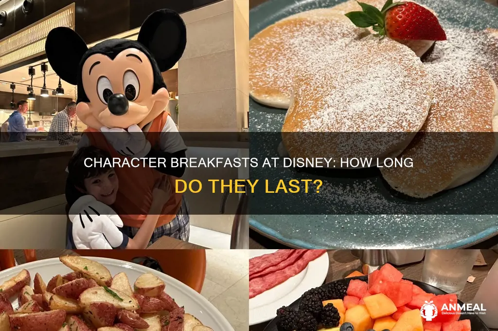 how long are character breakfasts at disney