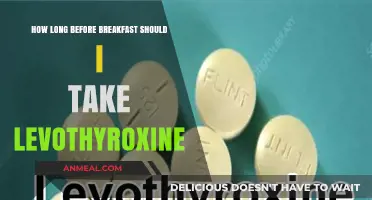 Best Time to Take Levothyroxine Before Breakfast