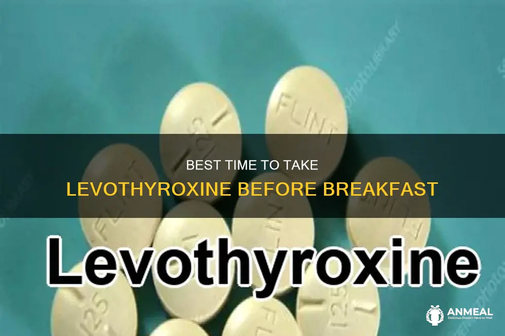 how long before breakfast should i take levothyroxine